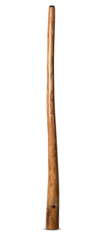 Tristan O'Meara Didgeridoo (TM287) 